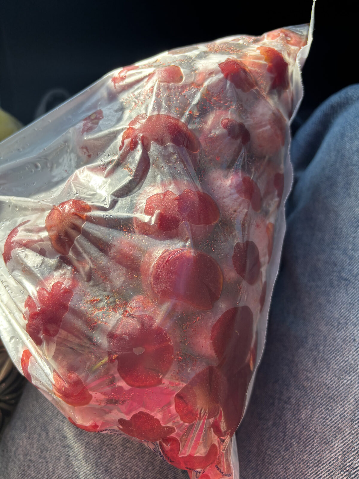 A bag of rescued ripe plums